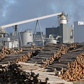 Une usine de pâte de bois en Allemagne en 2007. [AP Photo/Keystone - Eckehard Schulz]