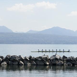Membres du Rowing Club Lausanne sur le lac Léman, à Lausanne en avril 2016. [Keystone - Anthony Anex]