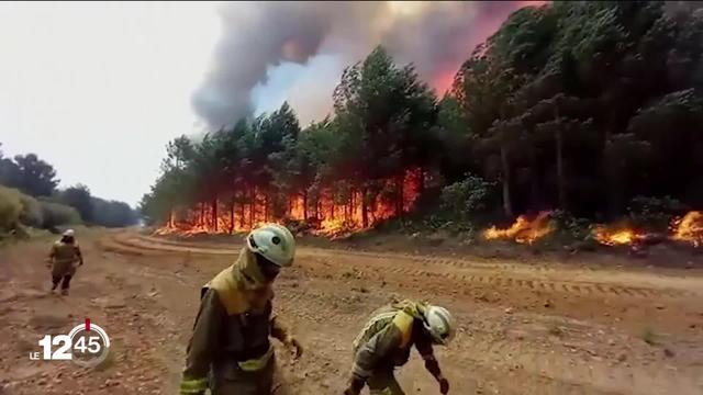La canicule qui frappe le sud de l'Europe fait des ravages en Espagne. Plusieurs incendies se sont déclarés à travers le pays dévastant plus de 20'000 hectares.