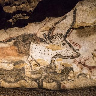 Un auroch dans une grotte préhistorique en Dordogne. [AFP - Michel Denis-Huot/Hemis.fr]