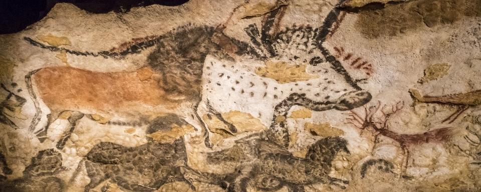 Un auroch dans une grotte préhistorique en Dordogne. [AFP - Michel Denis-Huot/Hemis.fr]