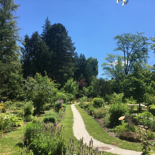 Le jardin botanique de l'Université de Fribourg. [RTS - Sarah Clément]
