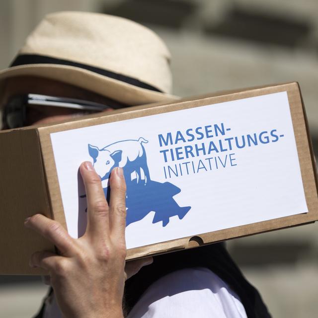 Des membres du comité d'initiative déposent les signatures pour l'initiative sur l'élevage intensif à la Chancellerie fédérale, le mardi 17 septembre 2019 à Berne. [KEYSTONE - Peter Klaunzer]