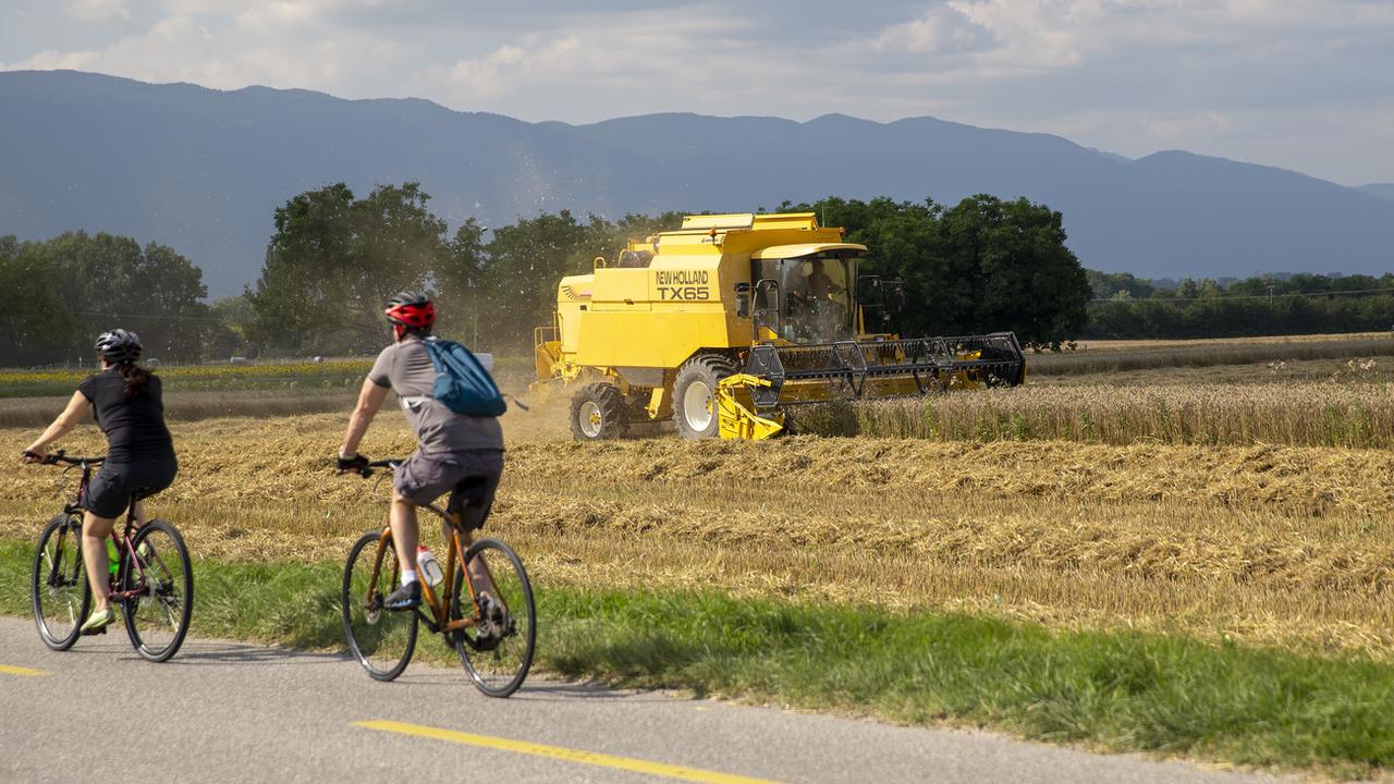 Un agriculteur moissonne un champ de blé à l'aide de sa moissonneuse-batteuse, en juillet 2021 près de Geneve. [Keystone - Salvatore Di Nolfi]