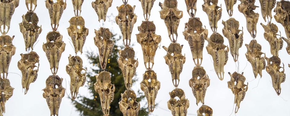 Une installation de l'artiste Máret Ánne Sara faite de 400 crânes de rennes accrochés en face du Parlement à Oslo (Norvège), en décembre 2017. [NTB Scanpix via AP - Heiko Junge]