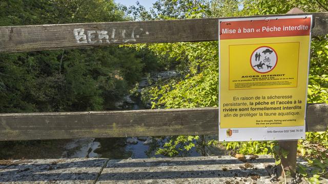 Au bord de lʹAllondon dans le canton de Genève, un petit cours dʹeau dont une portion a dû être mise à ban cet été. [Keystone - Salvatore Di Nolfi]