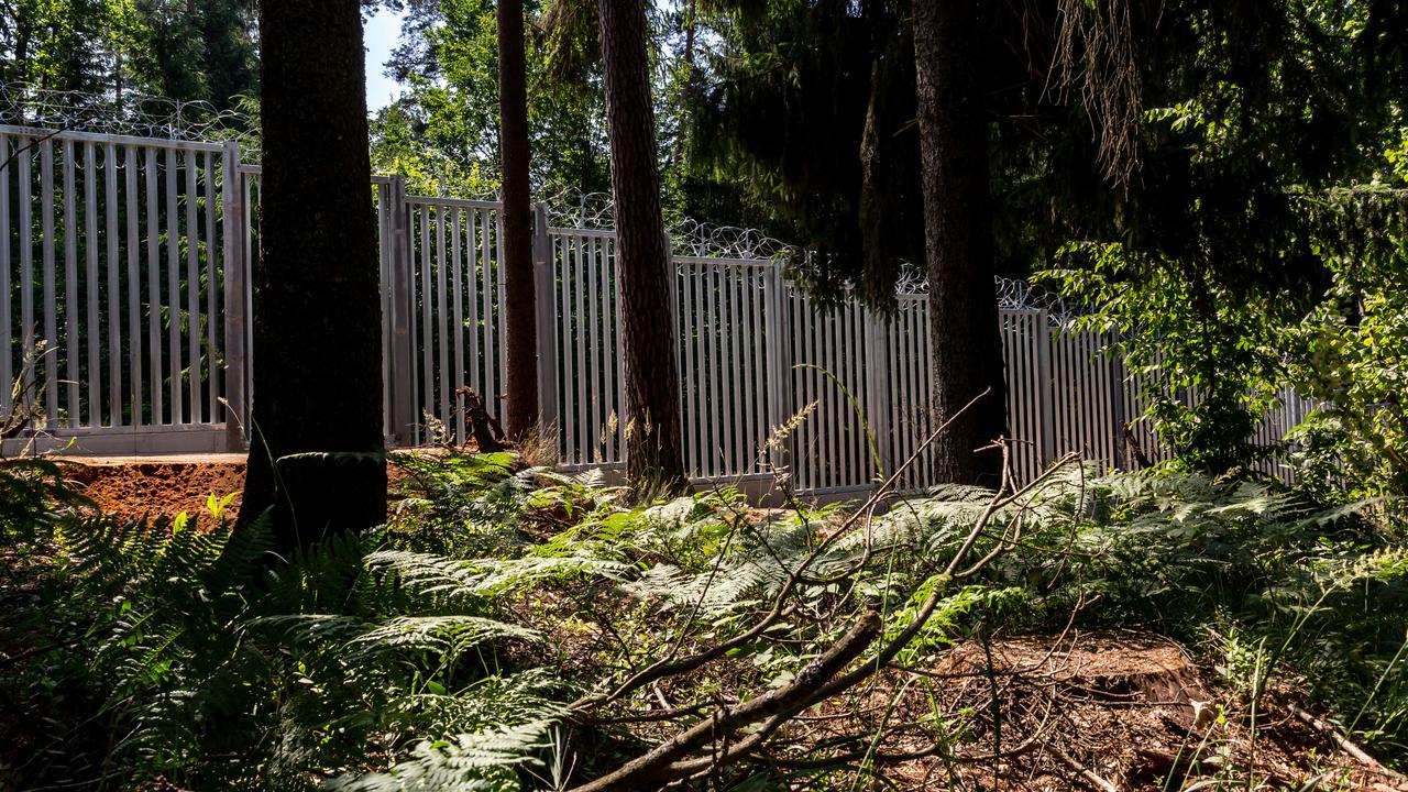 La dernière forêt primaire d'Europe balafrée par un mur frontalier entre la Pologne et la Biélorussie. [NURPHOTO VIA AFP - DOMINIKA ZARZYCKA]