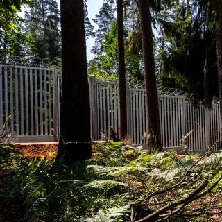 La dernière forêt primaire d'Europe balafrée par un mur frontalier entre la Pologne et la Biélorussie. [NURPHOTO VIA AFP - DOMINIKA ZARZYCKA]