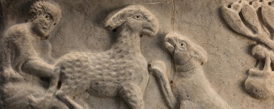 Un chien sur un sarcophage gallo-romain. [AFP - Manuel Cohen]