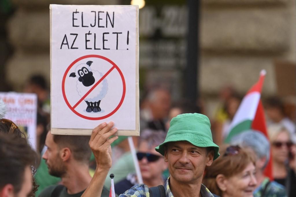 Des manifestants protestent contre la nouveau décret autorisant les coupes de bois de forêt, devant le Parlement à Budapest, le 12 août 2022. [AFP - Attila Kisbenedek]