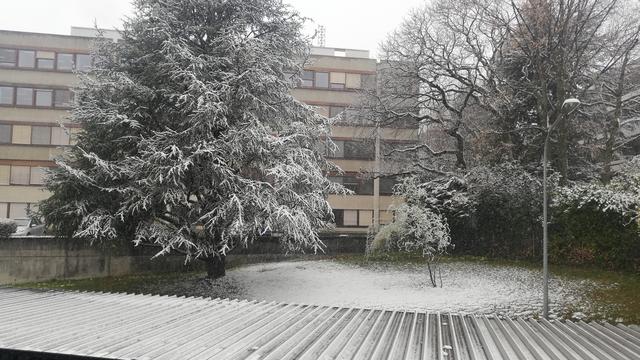 L'hiver a fait son retour en Suisse, avec de la neige jusqu'en plaine. [RTS - Jean-Philippe Rutz]