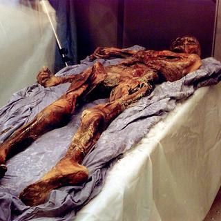 Le 19 septembre 1991, des randonneurs tombent par hasard sur la momie Ötzi [Keystone/EPA photo - Harald Scheider]