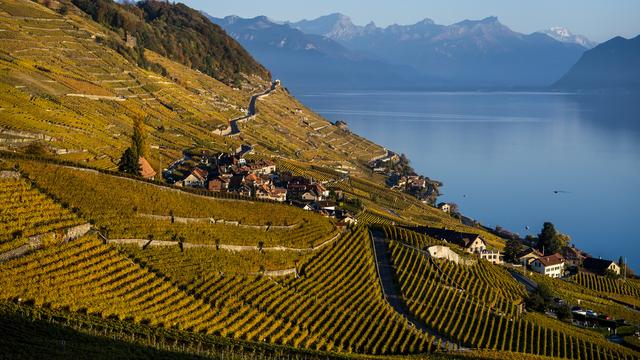 Le site de Lavaux va bénéficier d'un soutien financier du canton de Vaud pour sa préservation. [KEYSTONE - Jean-Christophe Bott]