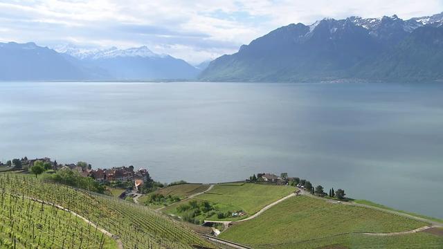 Vue de la côte de Lavaux dans le canton de Vaud. [RTS]