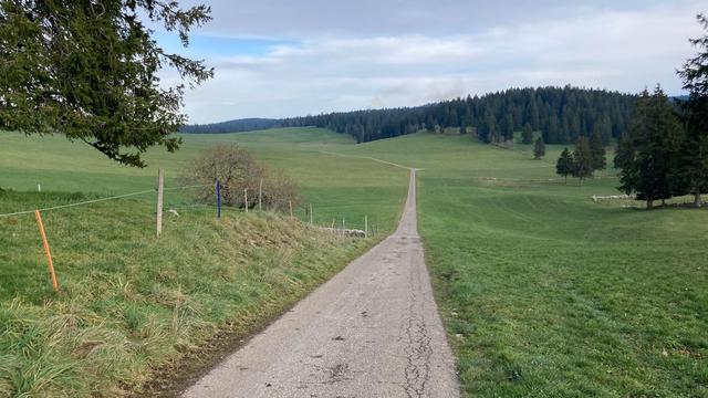 La zone dans laquelle seraient construites décharge et carrière au Cerneux-Péquignot. [RTS - Romain Bardet]