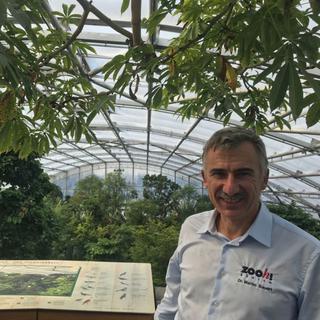 David Bauert veille sur l’écosystème de la halle Masoala à Zurich. [RTS - Mary Vakaridis]