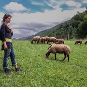 Laura et ses moutons. [DR]