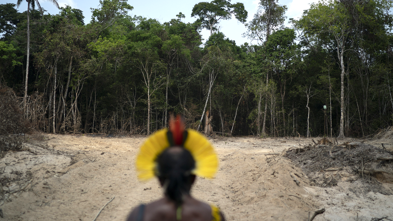 Le chef indigène brésilien Kadjyre Kayapo face à  la forêt éventrée près d'Altamira dans l'Etat du Para. [AP/Keystone - Leo Correa]