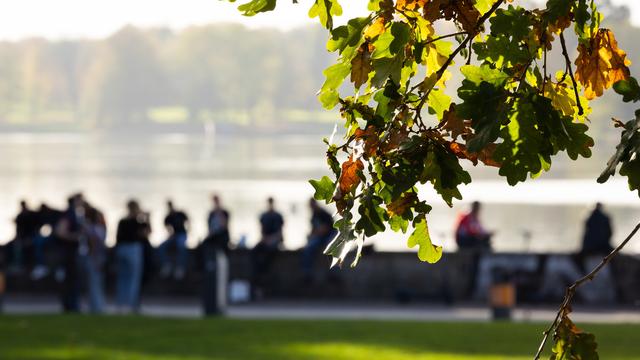 Des gens sont assis sur la rive du lac Aasee, à Münster, en Allemagne. Les feuilles colorées d'un chêne en premier plan sont illuminées par le soleil. [KEYSTONE - Friso Gentsch / DPA]