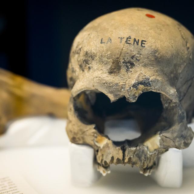 Jeudi 12 mai: un crâne de la nouvelle exposition "Entre deux eaux. La Tène, lieu de mémoire" présenté au Laténium à Hauterive (NE). [Keystone - Jean-Christophe Bott]