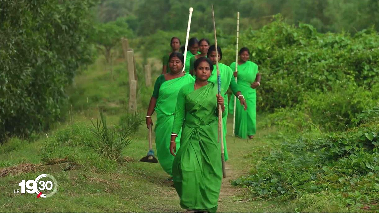 La brigade en sari vert restaure la forêt des Sundarbans en plantant des arbustes. [RTS]