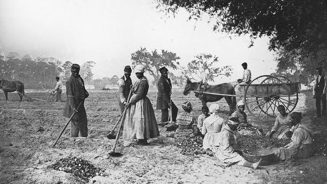 Des esclaves afro-américains aux champs en Caroline du Sud (1862). Le jazz est né aux Etat-Unis à la fin du XIXe siècle et au début du XXe siècle. Il réinterprète et inclut des éléments de musiques américaine et européenne mêlés à des chants populaires africains et d'esclaves influencés par la culture ouest-africaine.