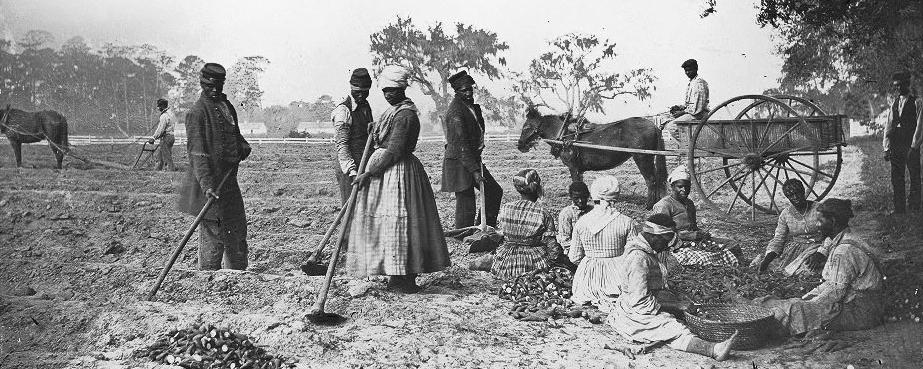 Des esclaves afro-américains aux champs en Caroline du Sud (1862). Le jazz est né aux Etat-Unis à la fin du XIXe siècle et au début du XXe siècle. Il réinterprète et inclut des éléments de musiques américaine et européenne mêlés à des chants populaires africains et d'esclaves influencés par la culture ouest-africaine.