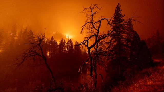 Des flammes brûlent vers la rivière Klamath lors de l'incendie "McKinney", dans la forêt nationale de Klamath au nord-ouest de Yreka, en Californie, le 31 juillet 2022. [AFP - David McNew]