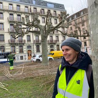 Taille des arbres : Genève renonce aux "têtes de chats". [Caroline Paquet-Vannier]