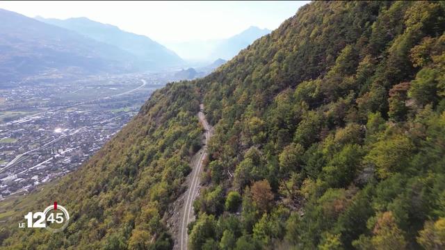 Après un été très sec, et avec cette chaleur d’automne inhabituelle, les paysages sont scrutés de près