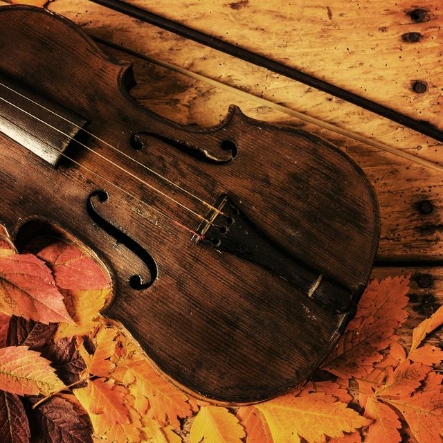 Violons en automne, feuilles. [Depositphotos - dimitrova]