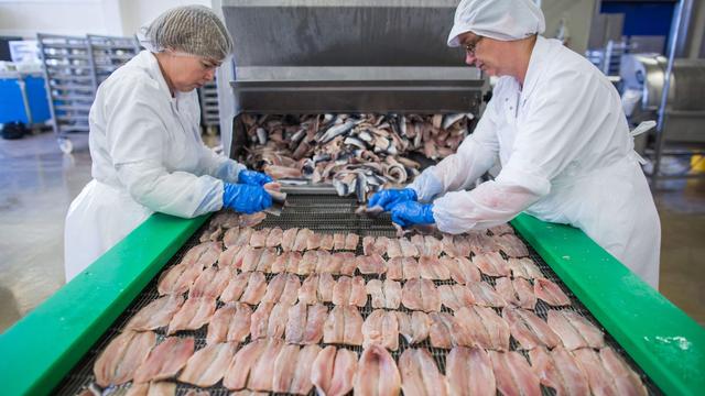 Une chaîne de tri de filets de poisson, dans une usine allemande (image d'illustration). [EPA/Keystone - Jens Buettner]