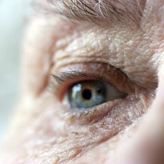 La DMLA est maladie des yeux extrêmement handicapante.
Joingate
Depositphotos [Joingate]