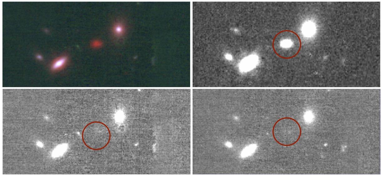 La même image de galaxies vues dans des longueurs d'ondes différentes. Une galaxie lointaines (cerclée de rouge), jamais vue, apparaît très bien dans une longue longueur d'onde située dans l'infrarouge. [JWST/NASA, ESA, CSA - Pascal Oesch, FRESCO, UNIGE]