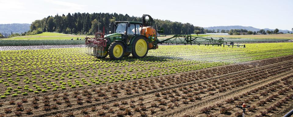 La situation va avoir de lourdes conséquences pour les agriculteurs (image d'illustration). [Keystone - Christian Beutler]