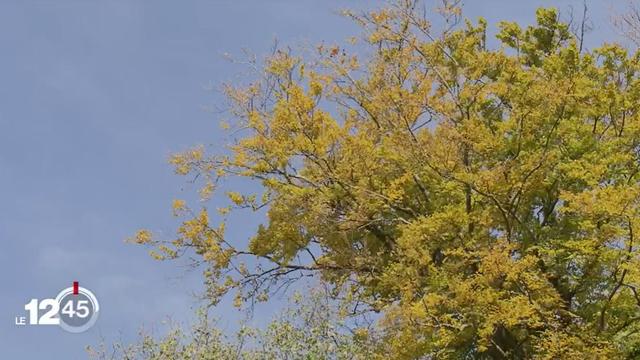 Un dimanche particulièrement chaud avec des températures supérieures à 20 degrés: le record à Delémont avec 25,3 degrés