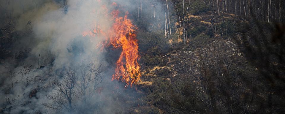 L'incendie dans les Centovalli a pu être largement maîtrisé dans la journée de vendredi. [Ti-Press/Keystone - Samuel Golay]