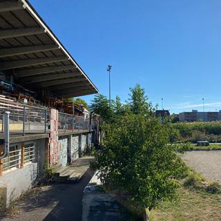 Le jardin dans l'ancien stade de football du Gurzelen. [RTS - Juliette Jeannet]