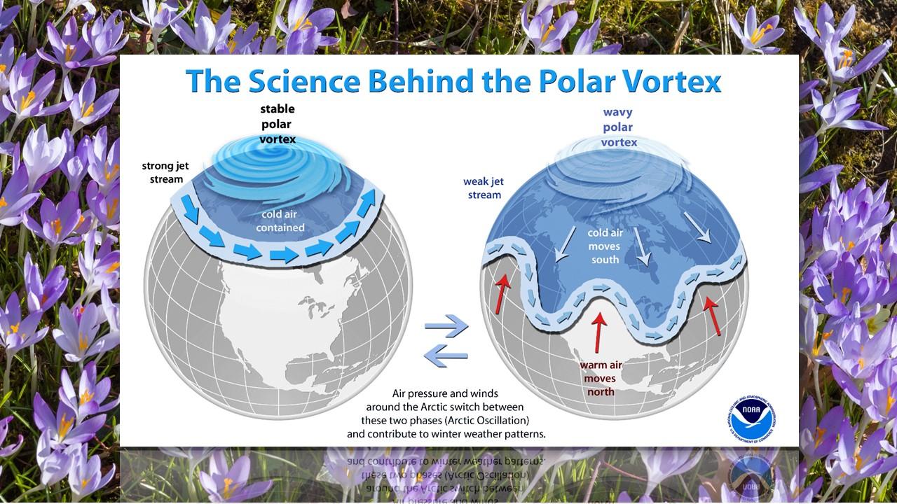 Circulation des courants avec un vortex stable (à gauche) et avec un vortex instable (à droites) [NOAA - Maurice Berger]