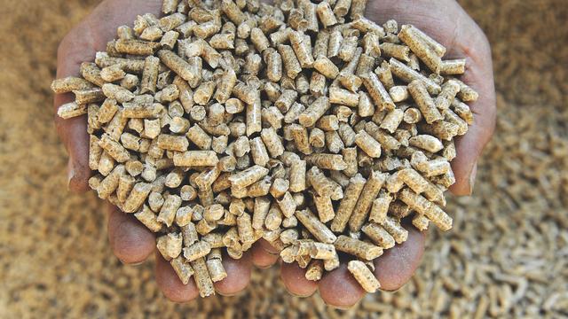 Les pellets, ces morceaux de bois compacté, connaissent un grand succès en Suisse. [picture alliance/DPA - WINFRIED ROTHERMEL]