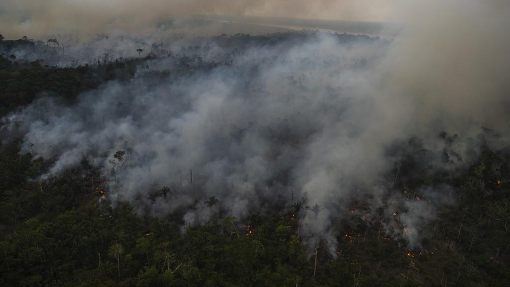 Déforestation record en Amazonie pour un mois de février. [AFP - Mauro Pimentel]