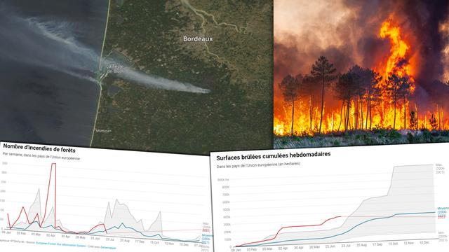Les feux en Gironde sont d'une intensité exceptionnelle. [Keystone - SDIS 33/EPA]
