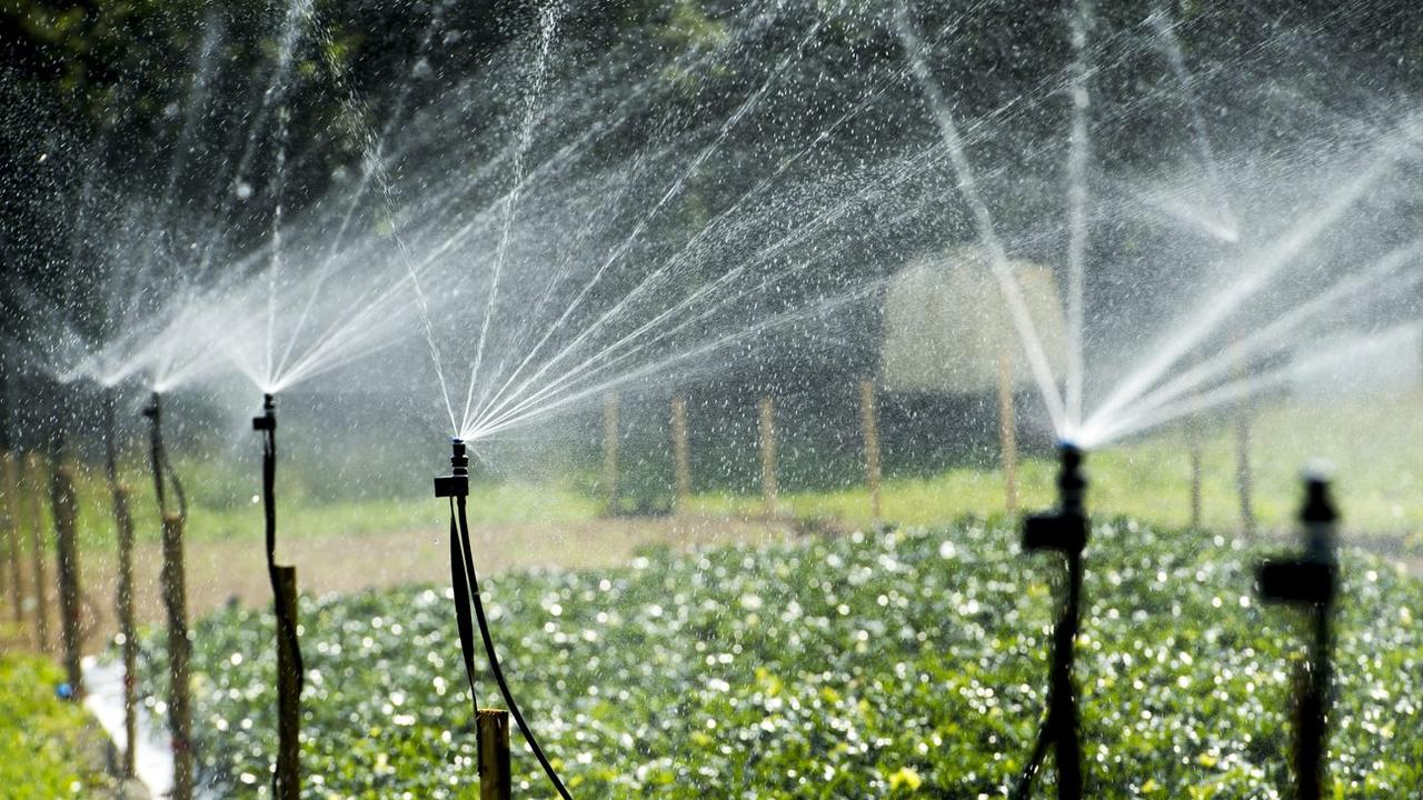 Au cours des 30 dernières années, le coût de l'eau dans l'agriculture a fortement augmenté. [Keystone - Sigi Tischler]