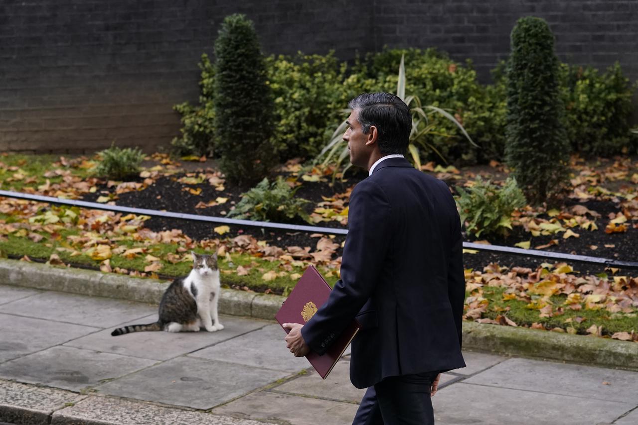 Larry, le chat de Downing Street, attend le nouveau locataire des lieux Rishi Sunak. [Keystone - AP Photo/Alberto Pezzali]