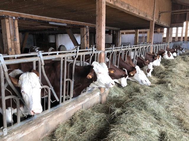 L'exploitation agricole de Stéphane Blondeau à Morteau dans le Doubs. [RTS - NICOLAS VULTIER]