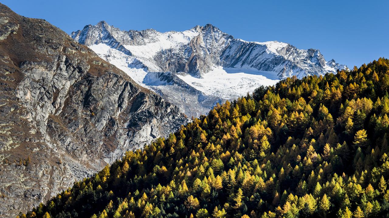 Des arbres vont être plantés en Valais pour limiter les risques d'avalanches (illustration). [Keystone - Jean-Christophe Bott]