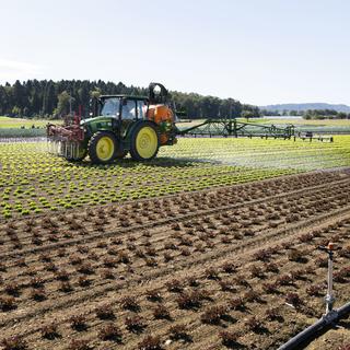 Avec un système de pulvérisateur, un tracteur applique des pesticides sur un champ de laitue. [Keystone - Christian Beutler]