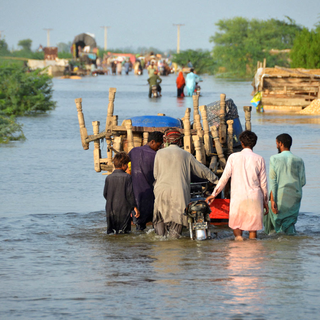 Terres et routes inondées à Sohbatpur, au Pakistan, 28.08.2022. [Reuters - Amer Hussain]
