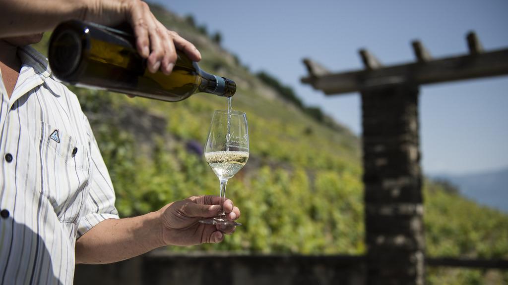 Avec un budget de 5,8 millions de francs, l'Etat de Vaud part à la rescousse des vignerons [Keystone - Jean-Christophe Bott]