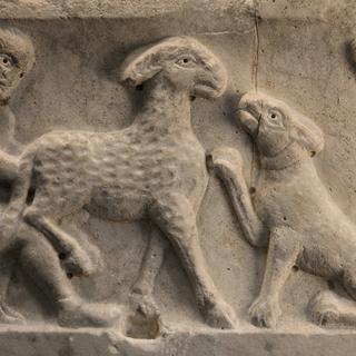 Un chien sur un sarcophage gallo-romain. [AFP - Manuel Cohen]